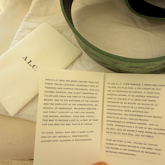 A.L.C. Green Python Crossbody Bag with Gold Accent - Picture 5 of 14